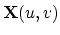 ${\bf X}(u,v)$