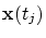 ${\mbox{\bf x}}(t_j)$